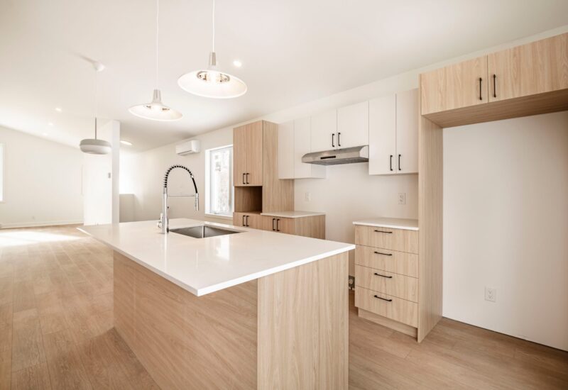 917 – 919 Ch. de la Rivière  Val-David (Laurentides)