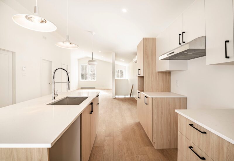 917 – 919 Ch. de la Rivière  Val-David (Laurentides)