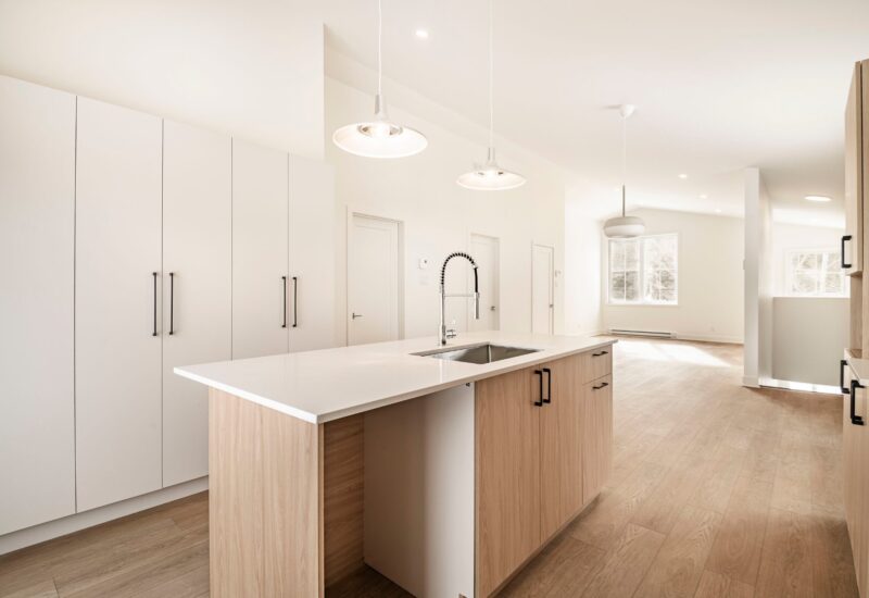 917 – 919 Ch. de la Rivière  Val-David (Laurentides)