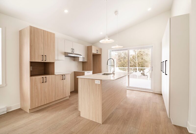 917 – 919 Ch. de la Rivière  Val-David (Laurentides)