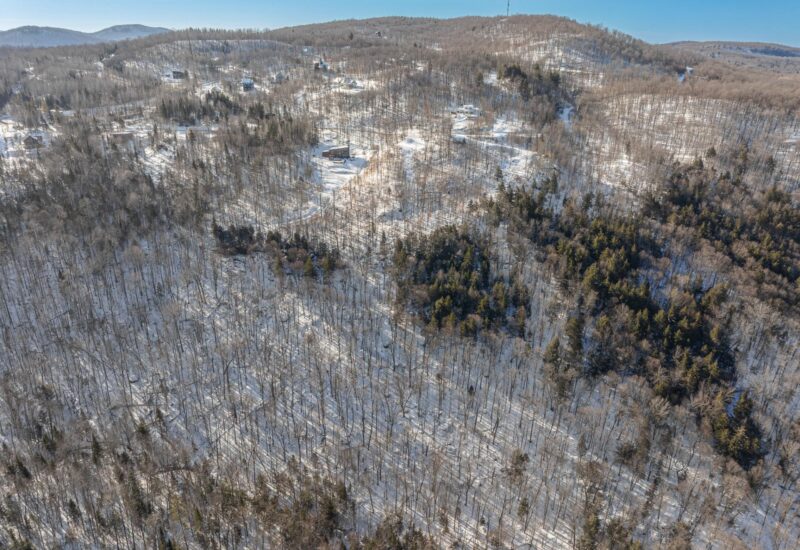 Ch. des Gros-Becs  Mont-Blanc (Laurentides)