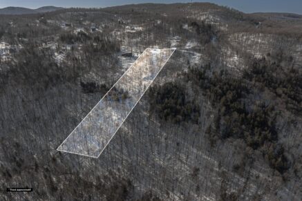 Ch. des Gros-Becs  Mont-Blanc (Laurentides)