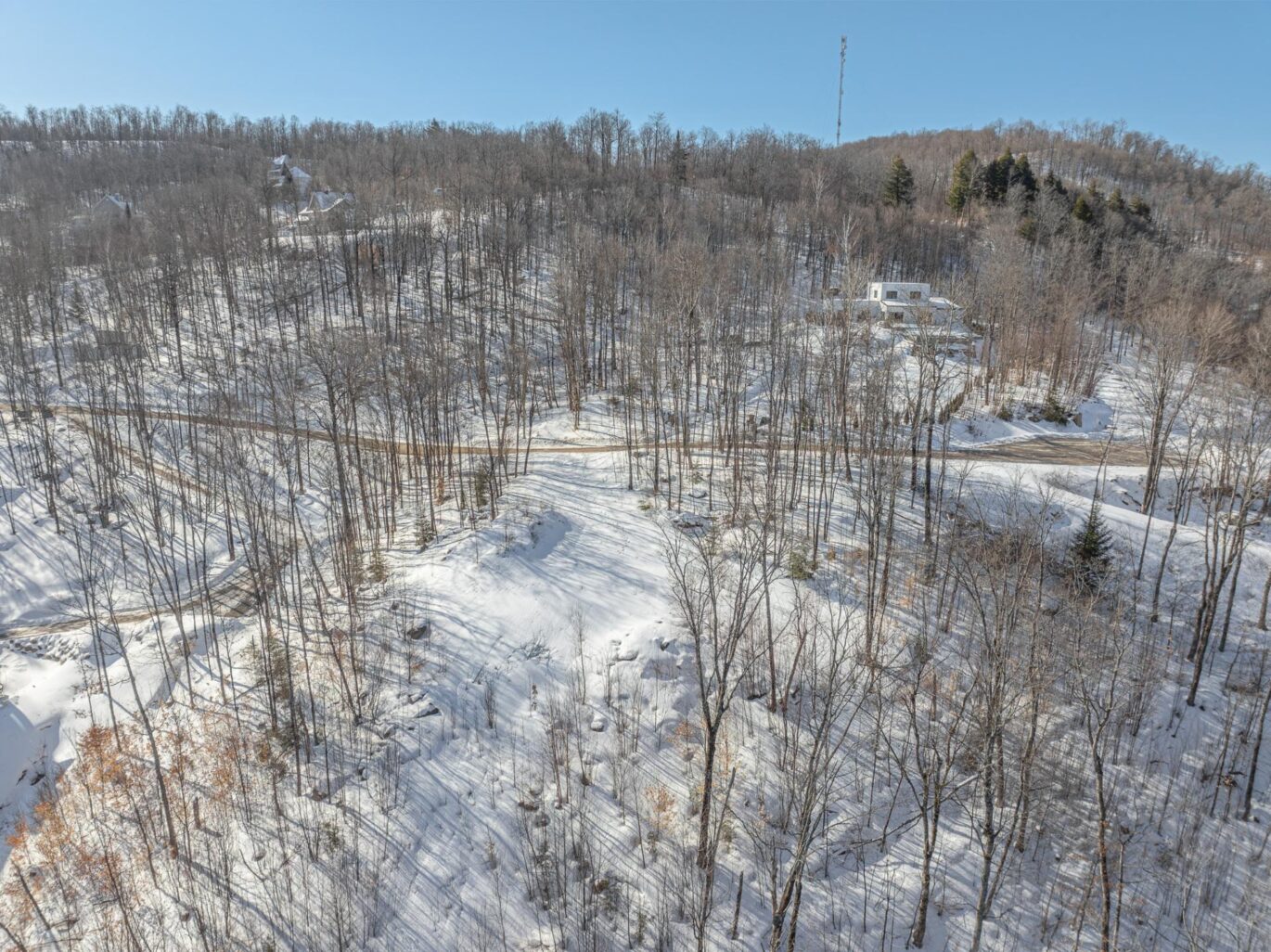 Ch. des Gros-Becs  Mont-Blanc (Laurentides)