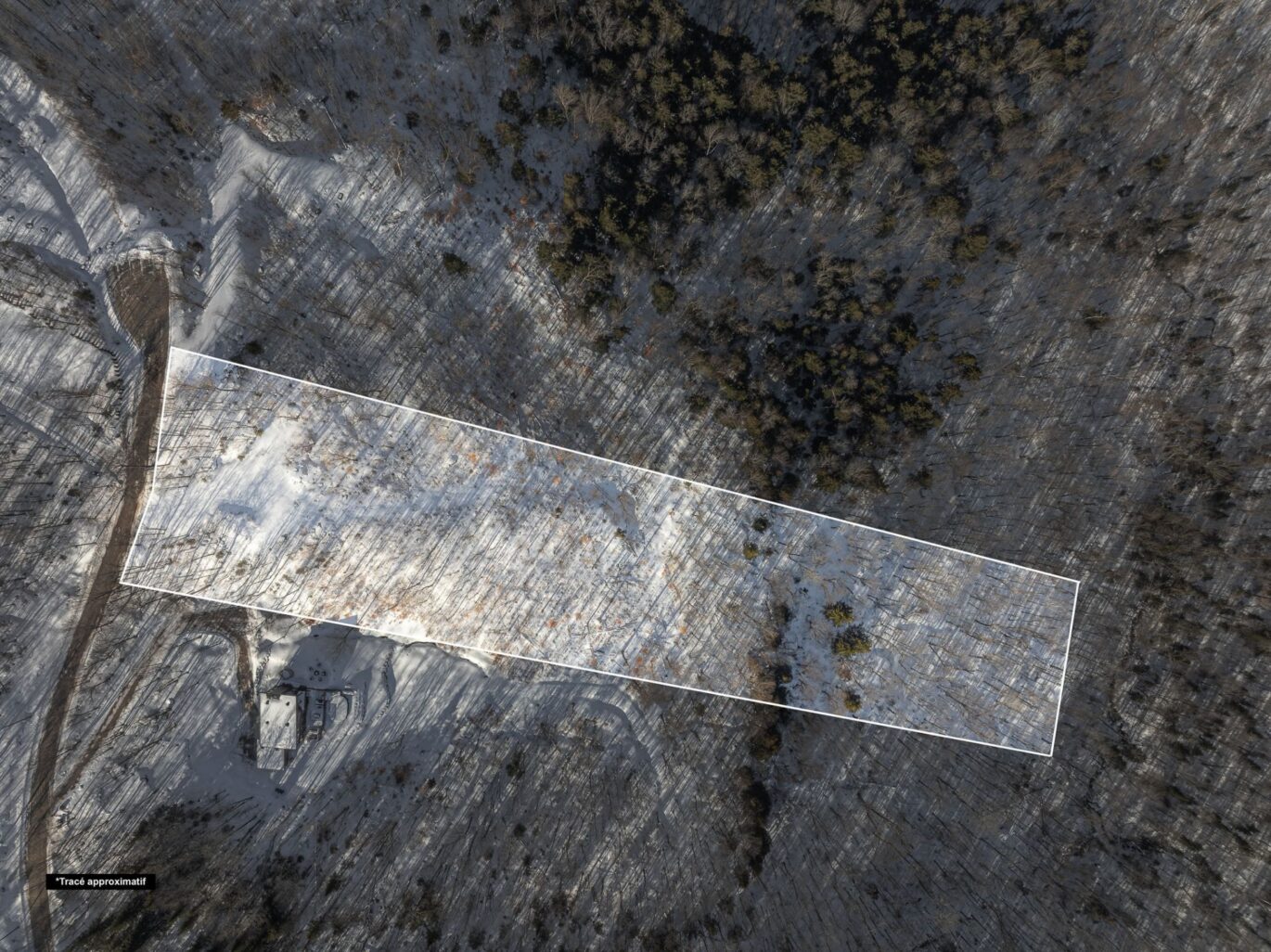 Ch. des Gros-Becs  Mont-Blanc (Laurentides)