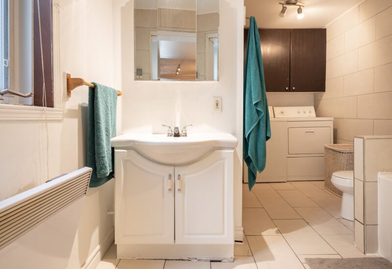 4250 – 4252 Rue Berri  Montréal (Le Plateau-Mont-Royal) (Montréal)