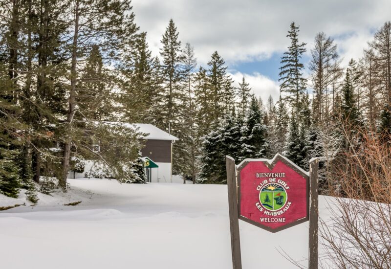 85 Ch. des Faucons  Mont-Blanc (Laurentides)