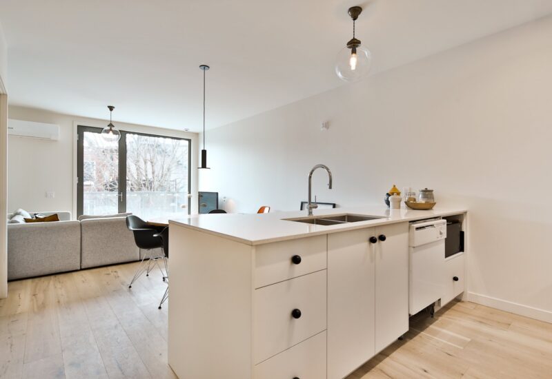 4426 Rue D’Iberville  Montréal (Le Plateau-Mont-Royal) (Montréal)