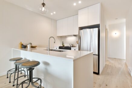 4426 Rue D’Iberville  Montréal (Le Plateau-Mont-Royal) (Montréal)