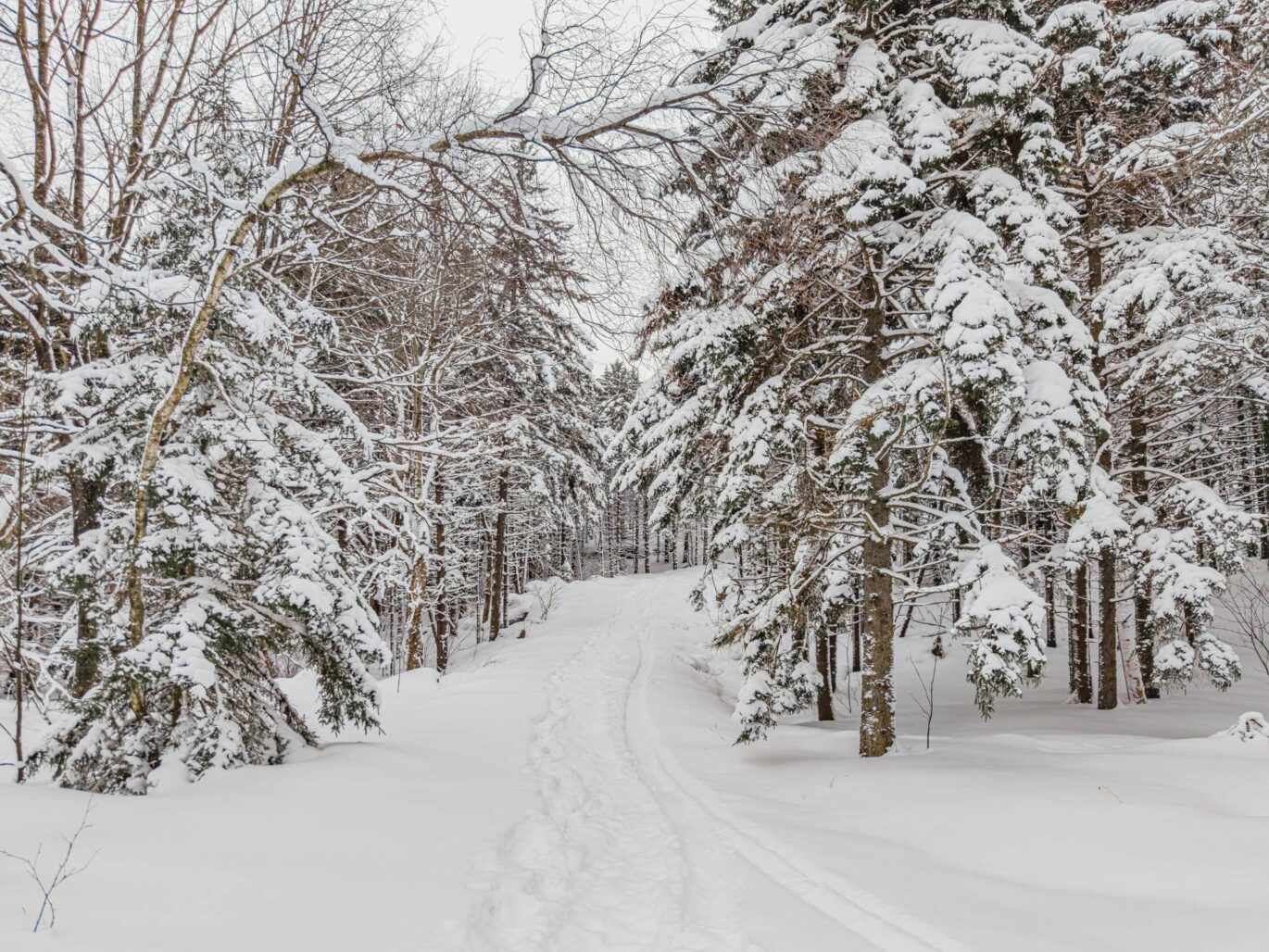 Ch. des Appalaches  Bolton-Ouest (Estrie)