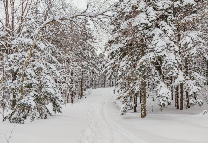 Ch. des Appalaches  Bolton-Ouest (Estrie)