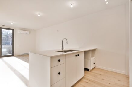 4422 Rue D’Iberville  Montréal (Le Plateau-Mont-Royal) (Montréal)