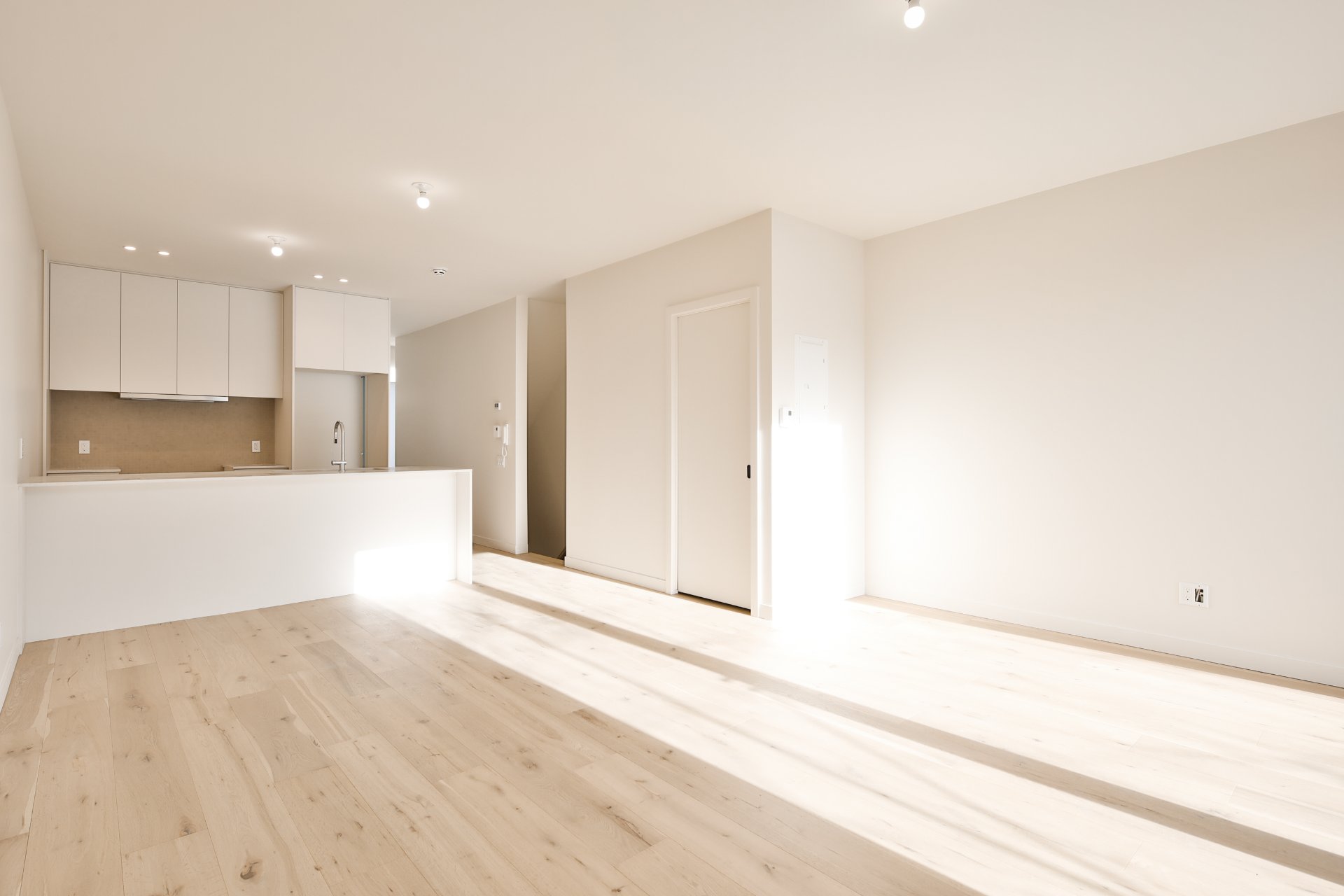 4422 Rue D&rsquo;Iberville  Montréal (Le Plateau-Mont-Royal) (Montréal) - picture 1