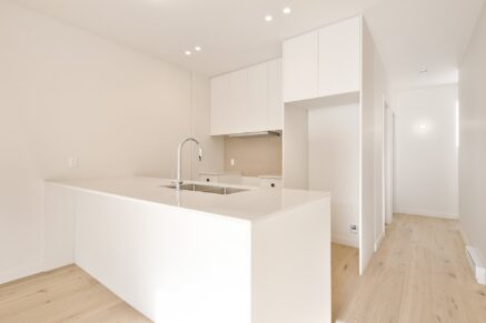 4422 Rue D’Iberville  Montréal (Le Plateau-Mont-Royal) (Montréal)