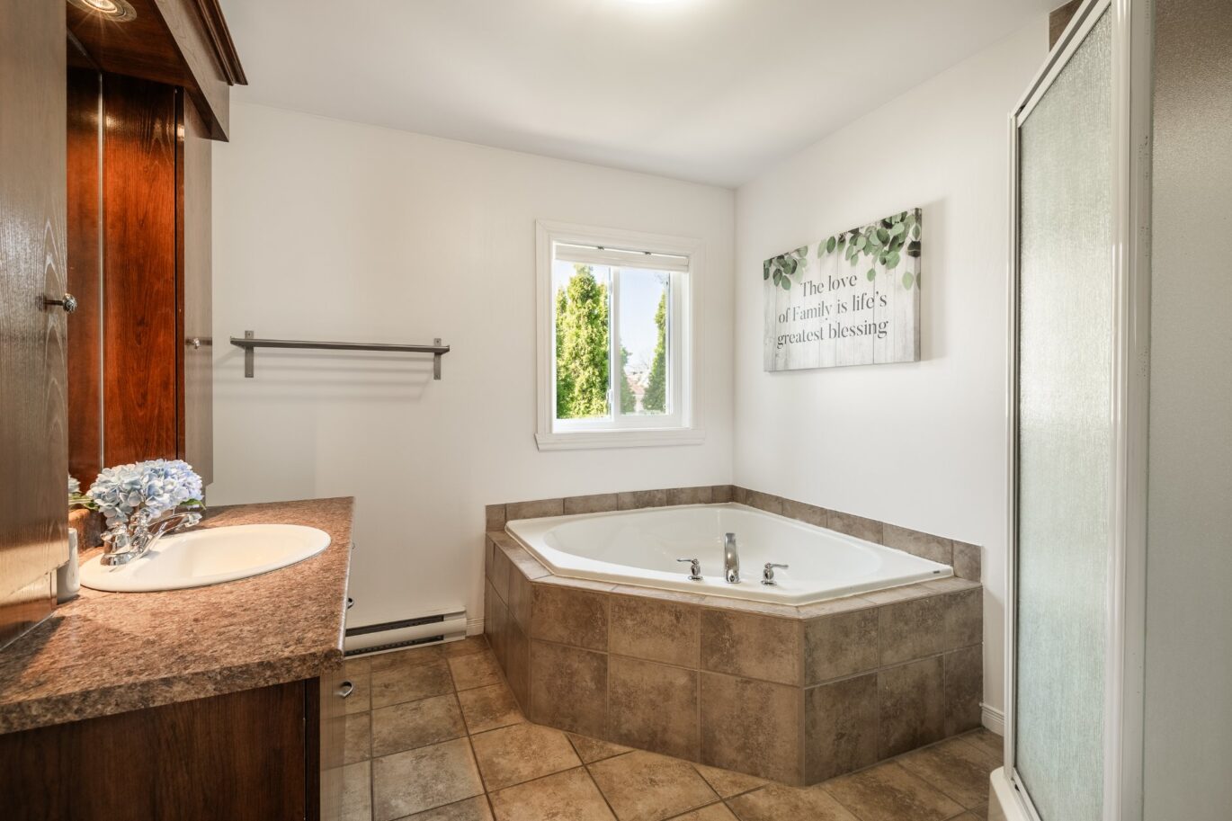 27 – 27 Rue Roméo-Pilon  Blainville (Laurentides)