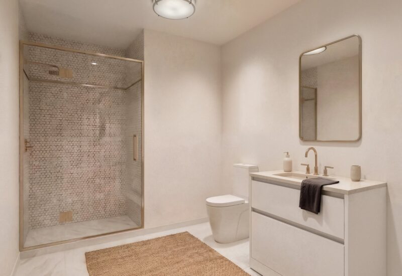 6848 Rue Marquette #5  Montréal (Rosemont/La Petite-Patrie) (Montréal)