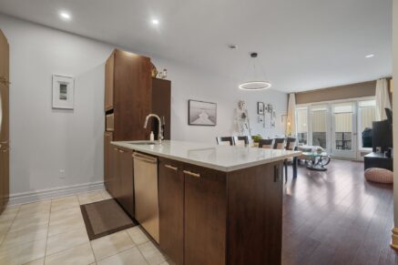 1551 Rue du Centre #102  Montréal (Le Sud-Ouest) (Montréal)