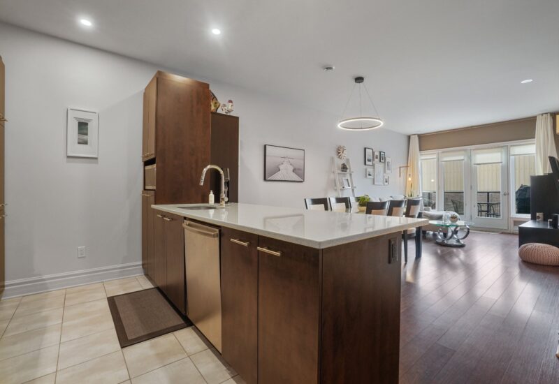 1551 Rue du Centre #102  Montréal (Le Sud-Ouest) (Montréal)