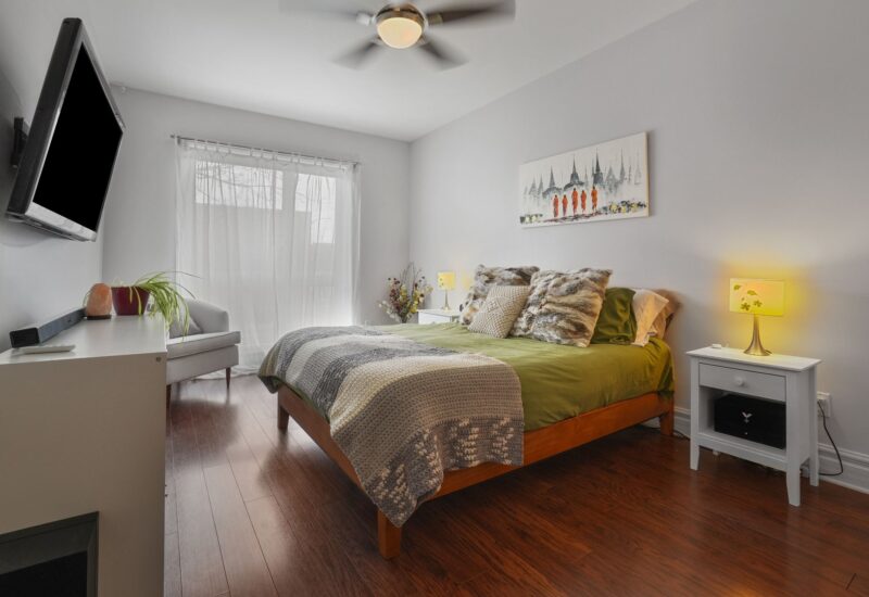 1551 Rue du Centre #102  Montréal (Le Sud-Ouest) (Montréal)