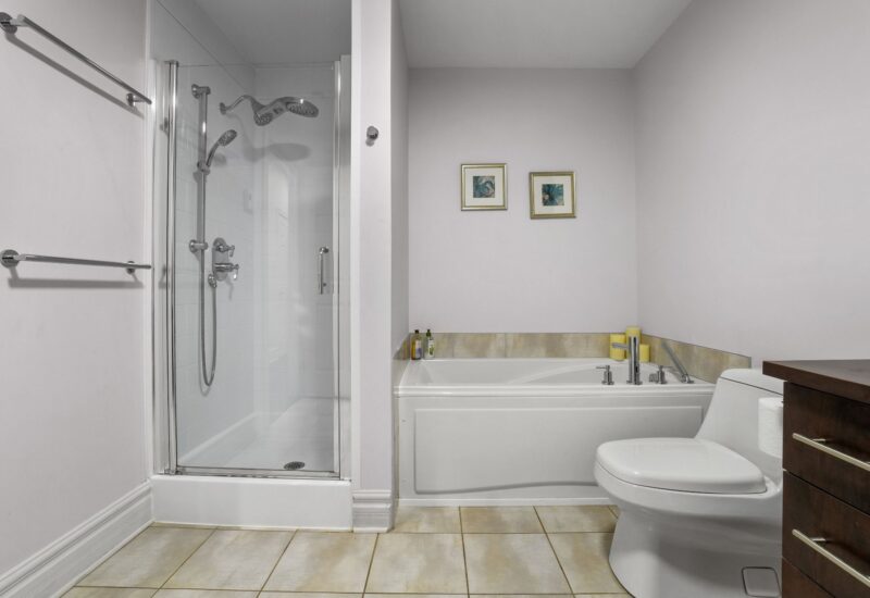 1551 Rue du Centre #102  Montréal (Le Sud-Ouest) (Montréal)