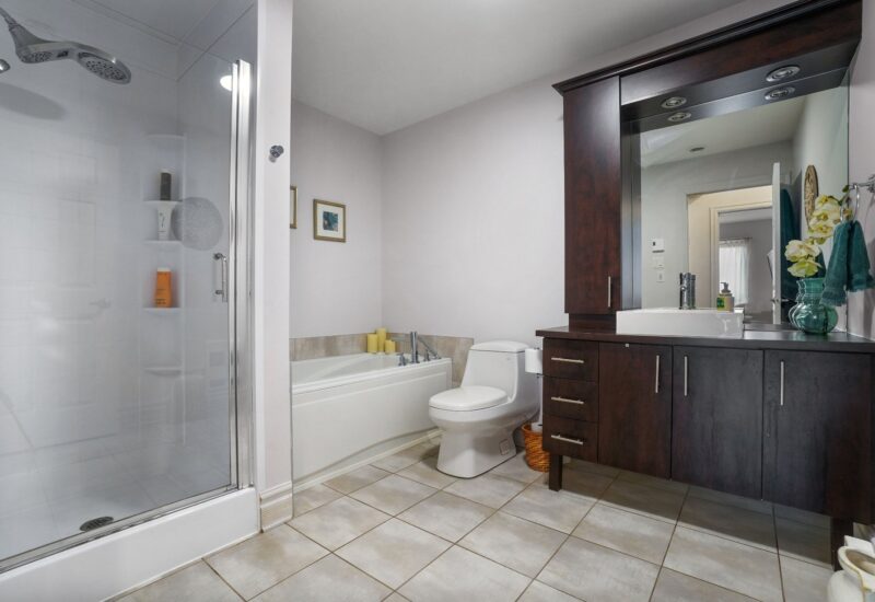 1551 Rue du Centre #102  Montréal (Le Sud-Ouest) (Montréal)