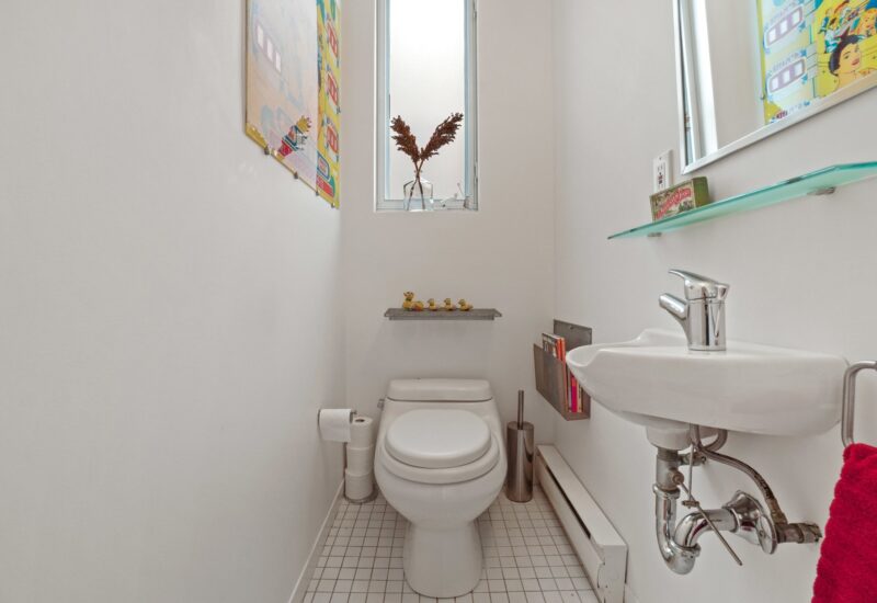 5191 – 5197 Rue Marquette  Montréal (Le Plateau-Mont-Royal) (Montréal)