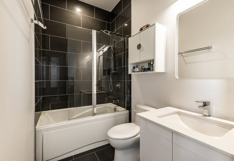 4485 Rue St-Dominique #304  Montréal (Le Plateau-Mont-Royal) (Montréal)