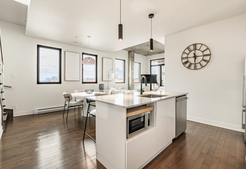 4485 Rue St-Dominique #304  Montréal (Le Plateau-Mont-Royal) (Montréal)