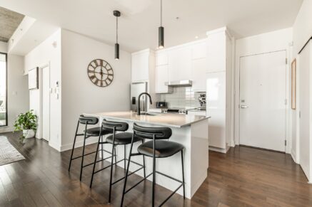 4485 Rue St-Dominique #304  Montréal (Le Plateau-Mont-Royal) (Montréal)