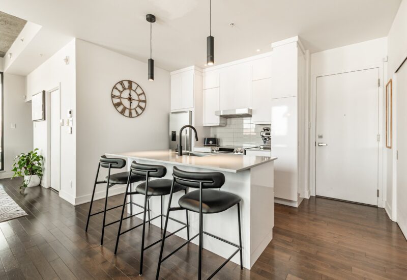 4485 Rue St-Dominique #304  Montréal (Le Plateau-Mont-Royal) (Montréal)