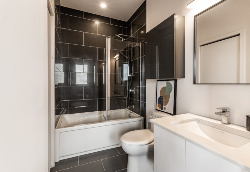 4485 Rue St-Dominique #304  Montréal (Le Plateau-Mont-Royal) (Montréal)