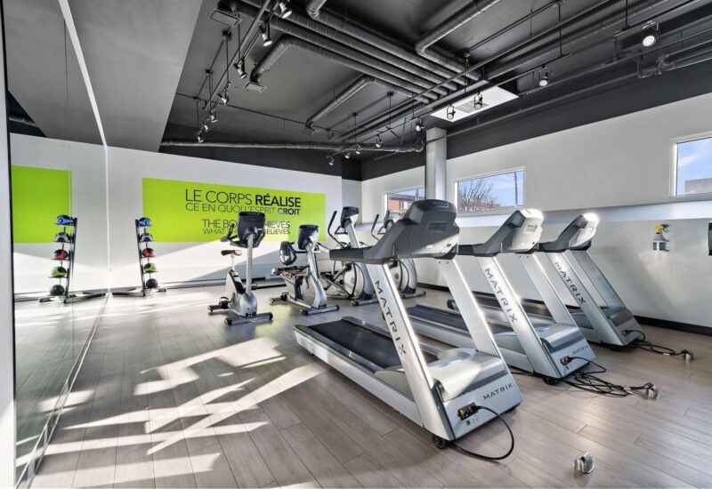 775 Av. Plymouth #709  Mont-Royal (Montréal)