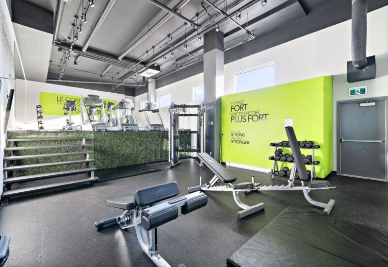 775 Av. Plymouth #709  Mont-Royal (Montréal)