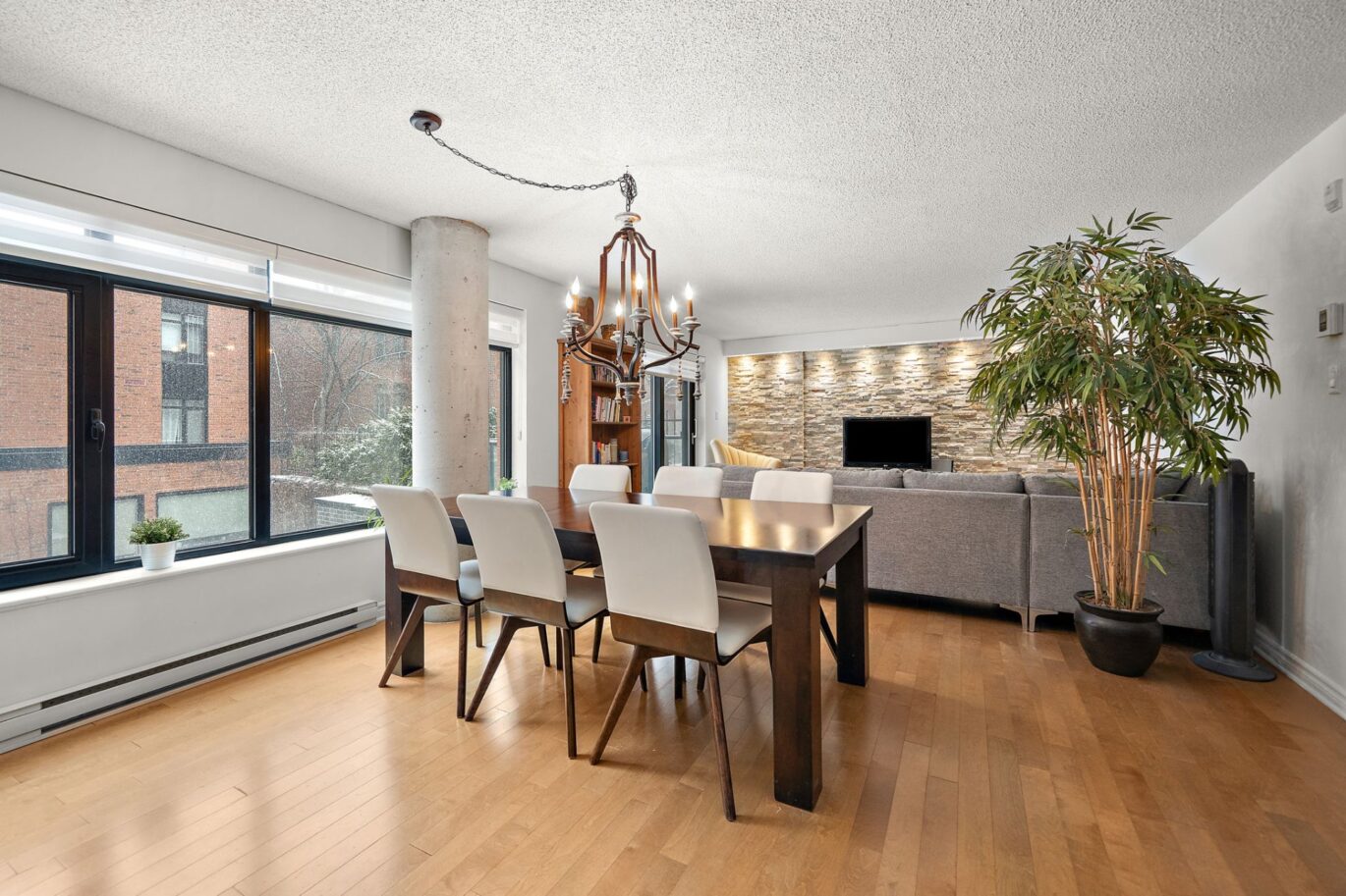 455 Rue St-Louis #213  Montréal (Ville-Marie) (Montréal)