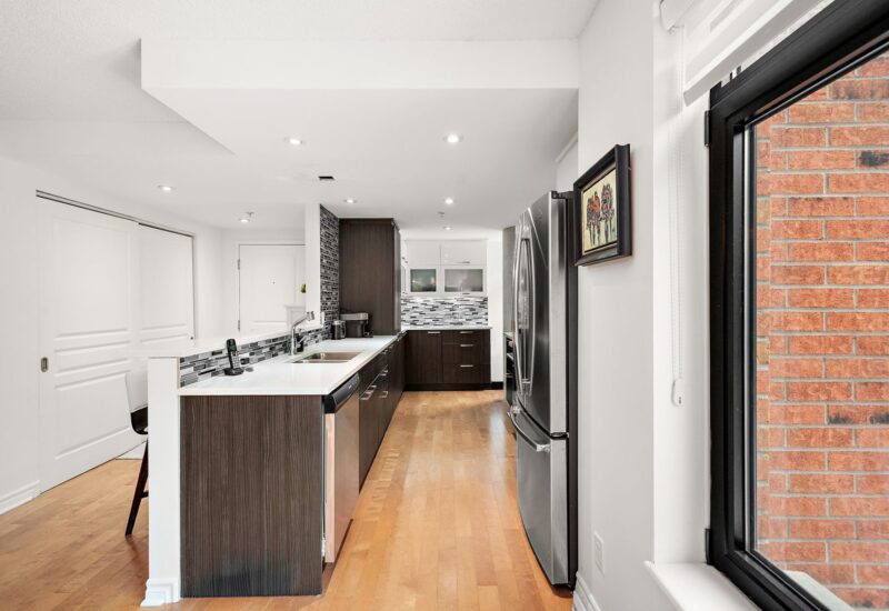 455 Rue St-Louis #213  Montréal (Ville-Marie) (Montréal)