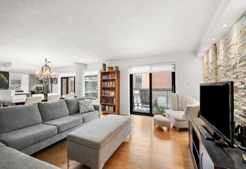 455 Rue St-Louis #213  Montréal (Ville-Marie) (Montréal)