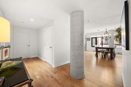 455 Rue St-Louis #213  Montréal (Ville-Marie) (Montréal)