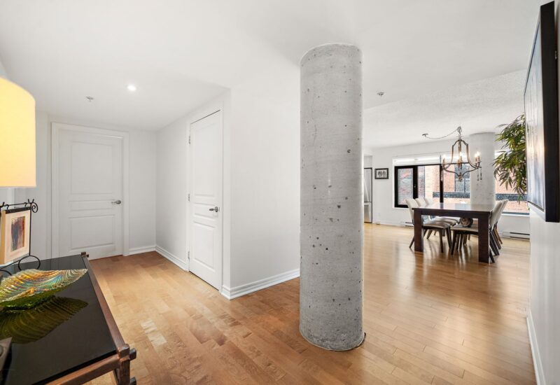 455 Rue St-Louis #213  Montréal (Ville-Marie) (Montréal)