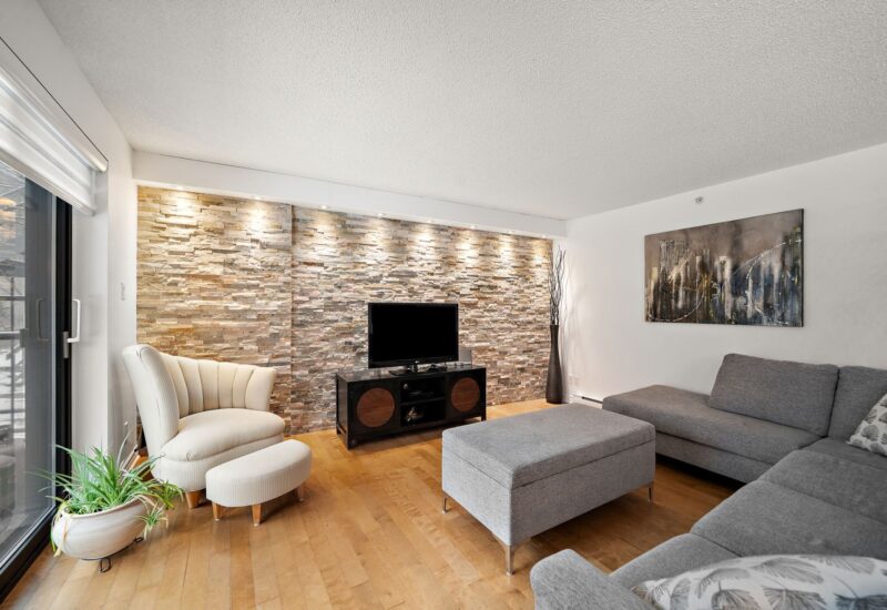 455 Rue St-Louis #213  Montréal (Ville-Marie) (Montréal)