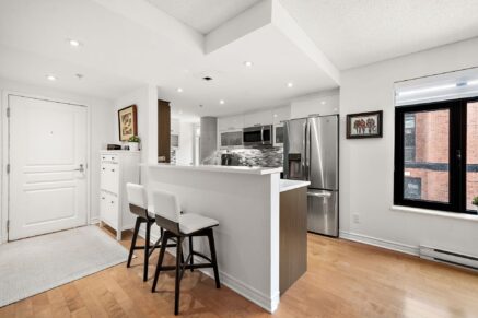 455 Rue St-Louis #213  Montréal (Ville-Marie) (Montréal)