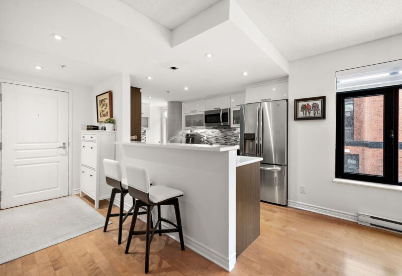 455 Rue St-Louis #213  Montréal (Ville-Marie) (Montréal)