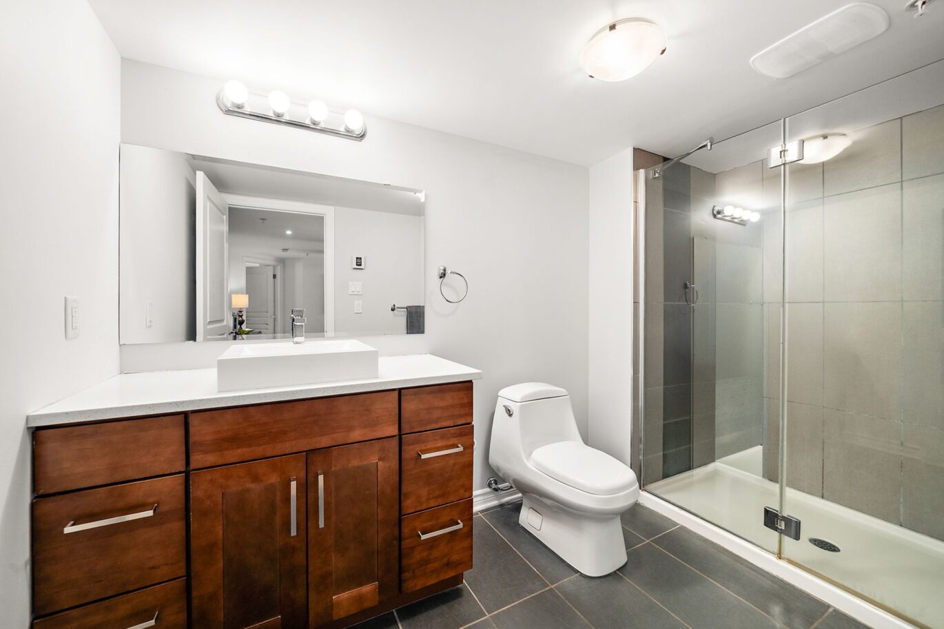 455 Rue St-Louis #213  Montréal (Ville-Marie) (Montréal)