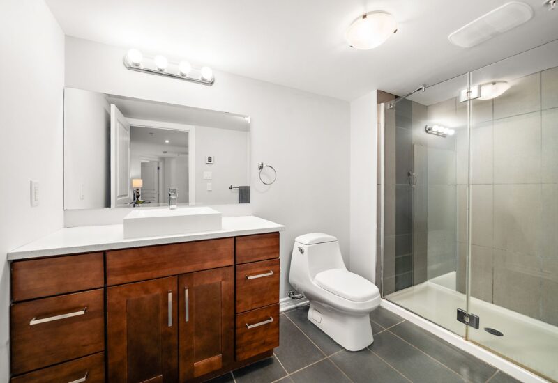 455 Rue St-Louis #213  Montréal (Ville-Marie) (Montréal)