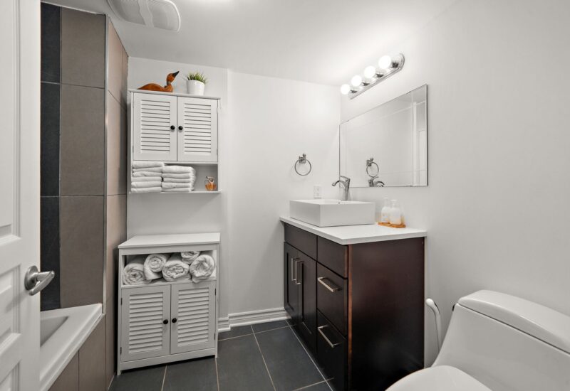 455 Rue St-Louis #213  Montréal (Ville-Marie) (Montréal)