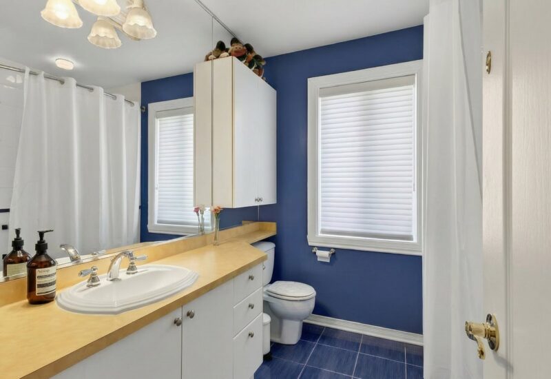 6010 Rue Tommy-Douglas  Côte-Saint-Luc (Montréal)