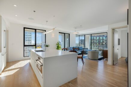 175 Rue de la Montagne #1402  Montréal (Le Sud-Ouest) (Montréal)