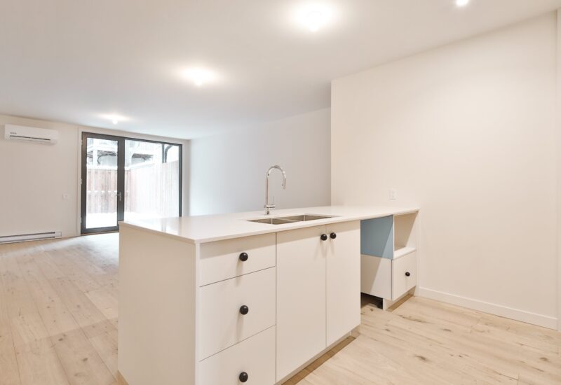 4424 Rue D&rsquo;Iberville  Montréal (Le Plateau-Mont-Royal) (Montréal)