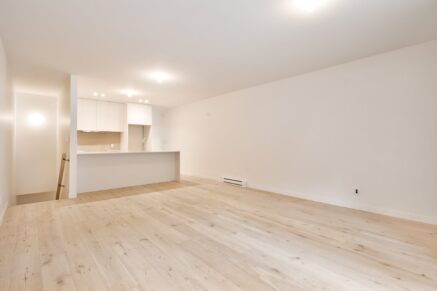 4424 Rue D’Iberville  Montréal (Le Plateau-Mont-Royal) (Montréal)