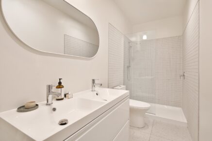 4428 Rue D’Iberville  Montréal (Le Plateau-Mont-Royal) (Montréal)