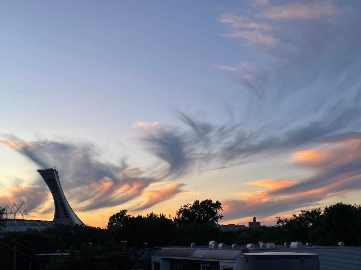 4267 Rue Ontario E.  Montréal (Mercier/Hochelaga-Maisonneuve) (Montréal)