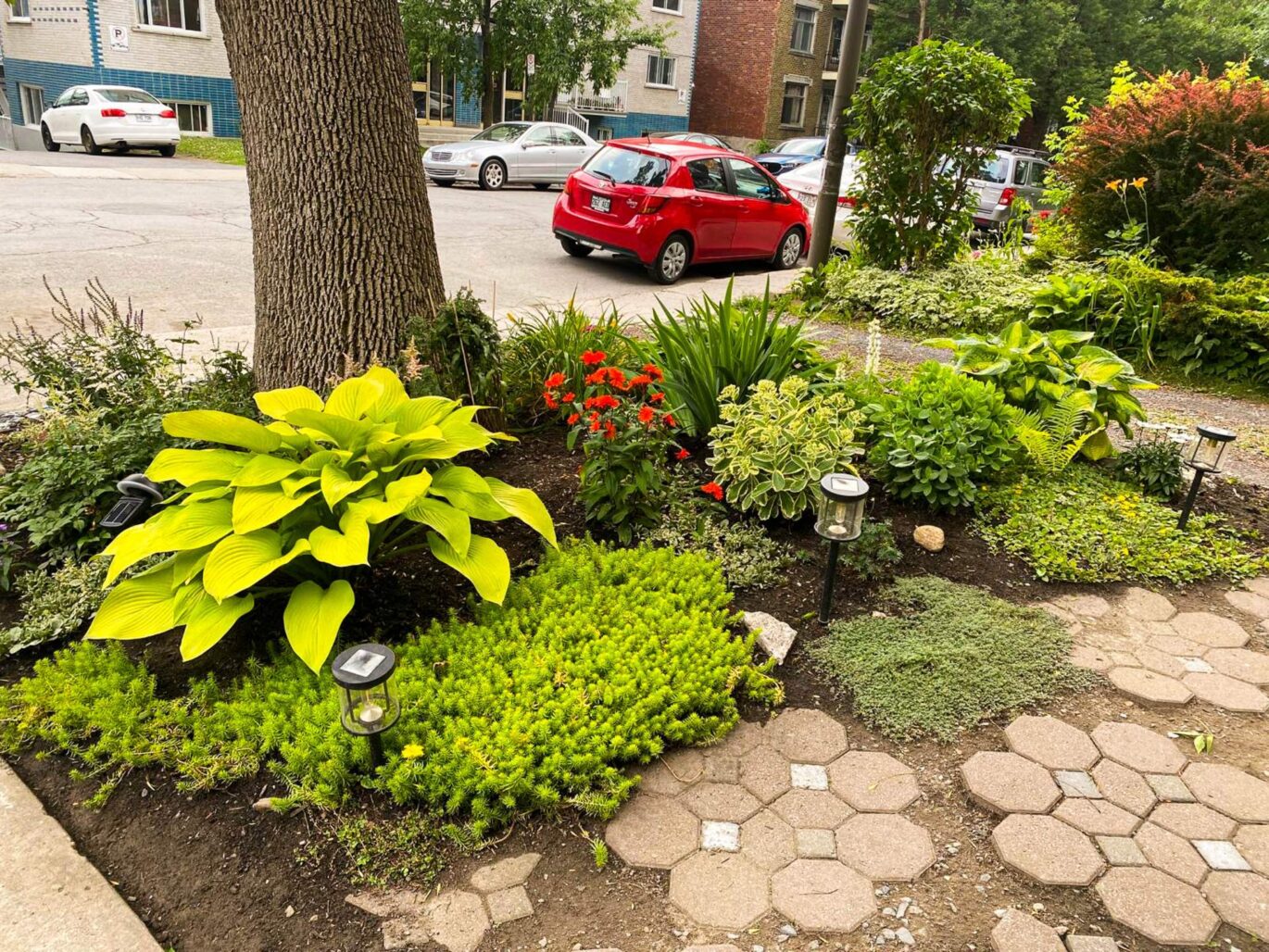 2315 Av. Madison  Montréal (Côte-des-Neiges/Notre-Dame-de-Grâce) (Montréal)